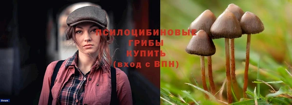 ГАЛЛЮЦИНОГЕННЫЕ ГРИБЫ Балабаново