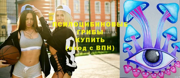 apvp Балахна