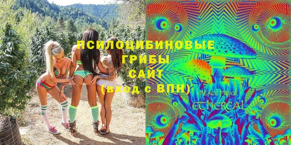 apvp Балахна