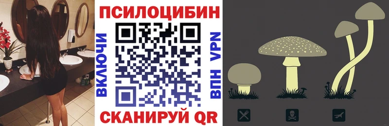 нарко площадка клад  Бабушкин  Галлюциногенные грибы GOLDEN TEACHER 