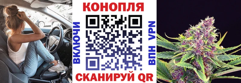 darknet наркотические препараты  Бабушкин  Бошки марихуана VHQ  мега ссылки 